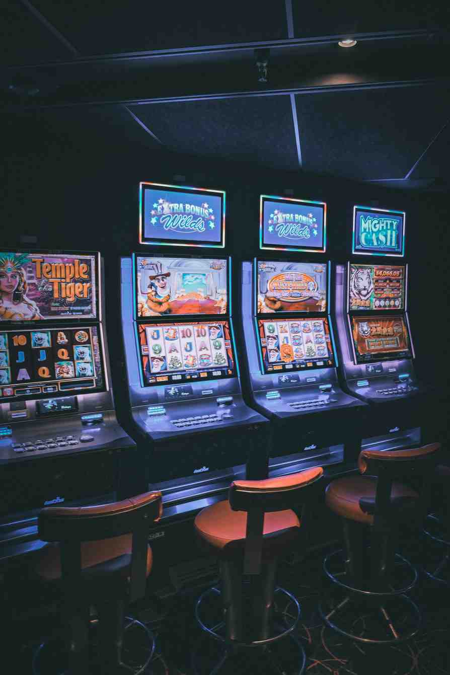 paradise8casino.nz paradise8casino.nz